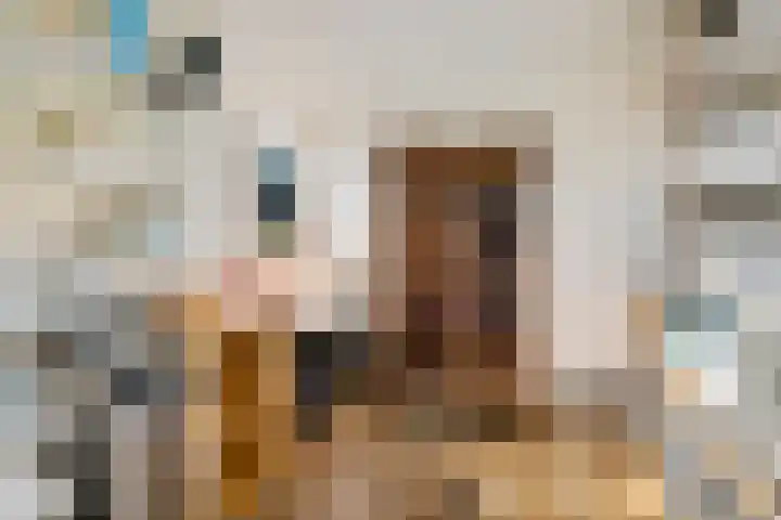 Koppelwijk OZ 18 Emmer-Compascuum thumbnail 27