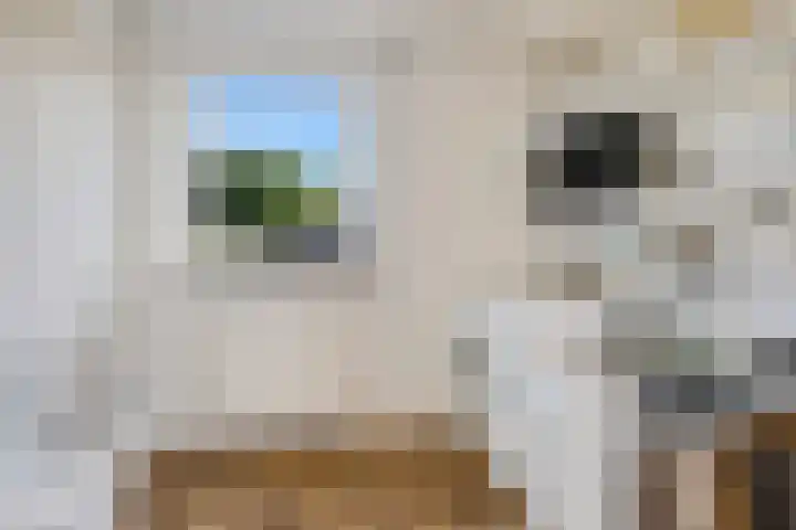 Koppelwijk OZ 18 Emmer-Compascuum thumbnail 28