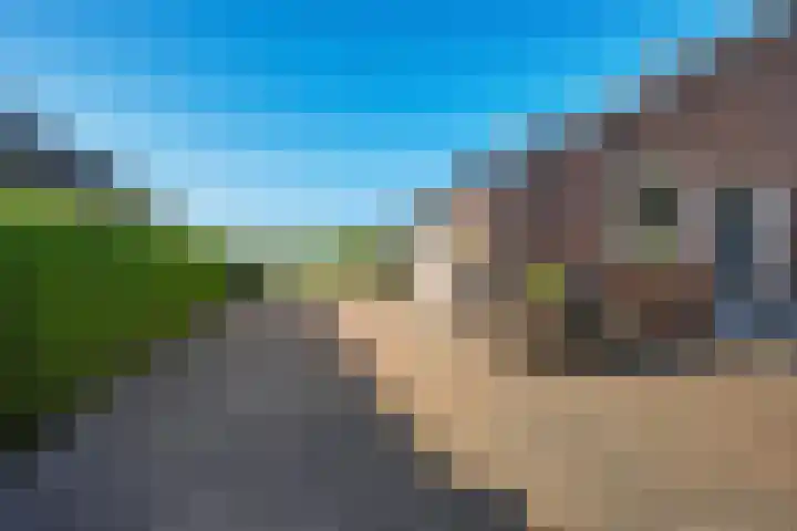 Koppelwijk OZ 18 Emmer-Compascuum thumbnail 34
