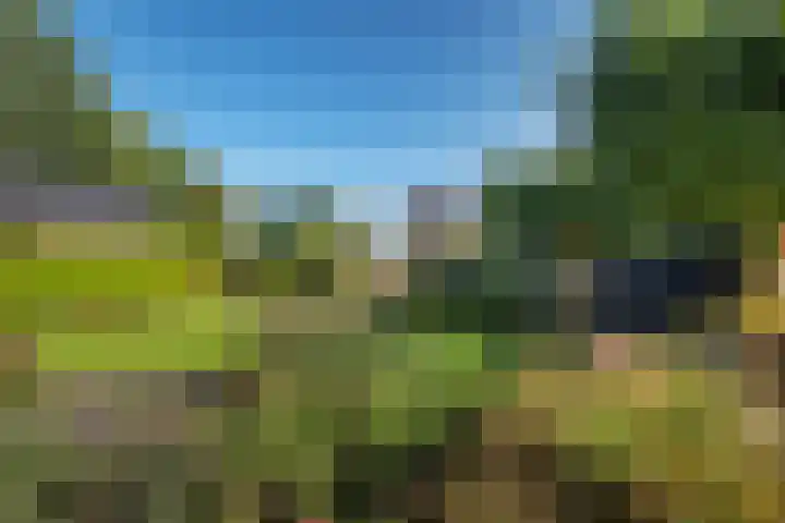 Koppelwijk OZ 18 Emmer-Compascuum thumbnail 36