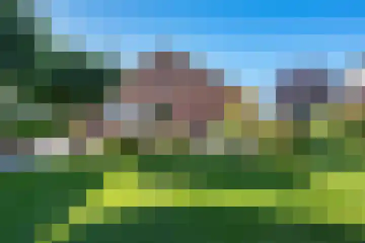 Koppelwijk OZ 18 Emmer-Compascuum thumbnail 37