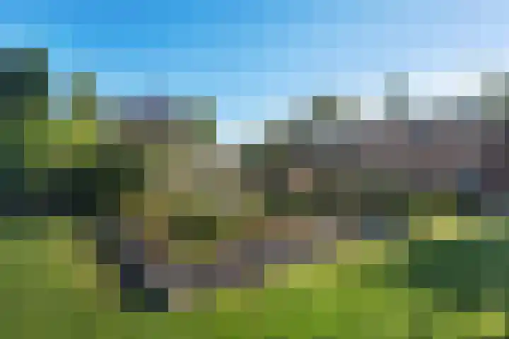Koppelwijk OZ 18 Emmer-Compascuum thumbnail 38