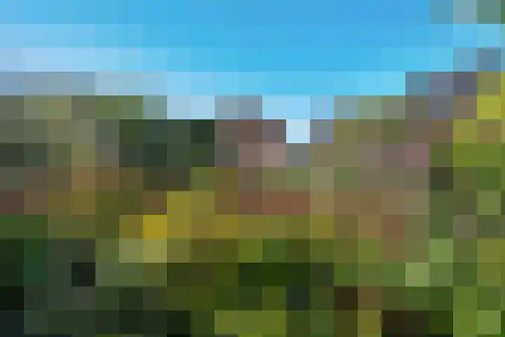 Koppelwijk OZ 18 Emmer-Compascuum thumbnail 39