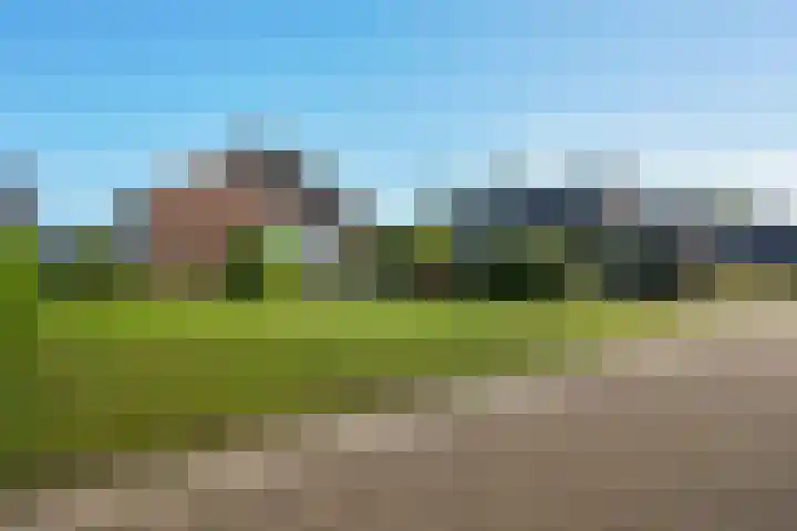 Koppelwijk OZ 18 Emmer-Compascuum thumbnail 4