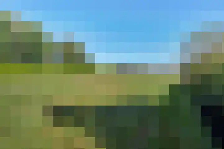 Koppelwijk OZ 18 Emmer-Compascuum thumbnail 40