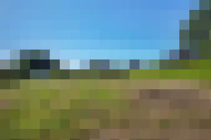 Koppelwijk OZ 18 Emmer-Compascuum thumbnail 41