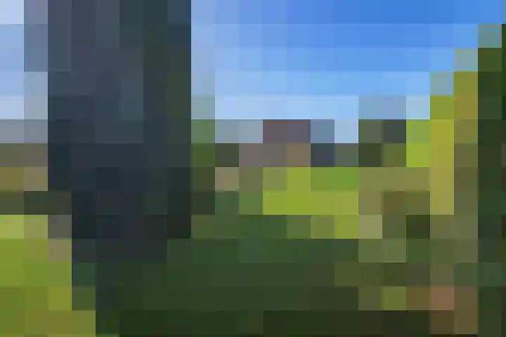 Koppelwijk OZ 18 Emmer-Compascuum thumbnail 42