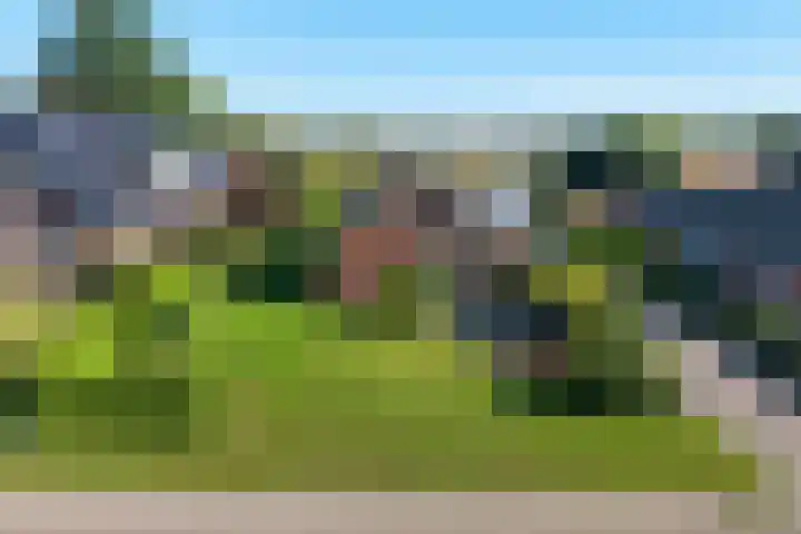 Koppelwijk OZ 18 Emmer-Compascuum thumbnail 43