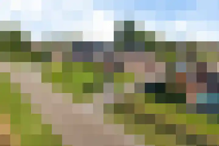 Koppelwijk OZ 18 Emmer-Compascuum thumbnail 45