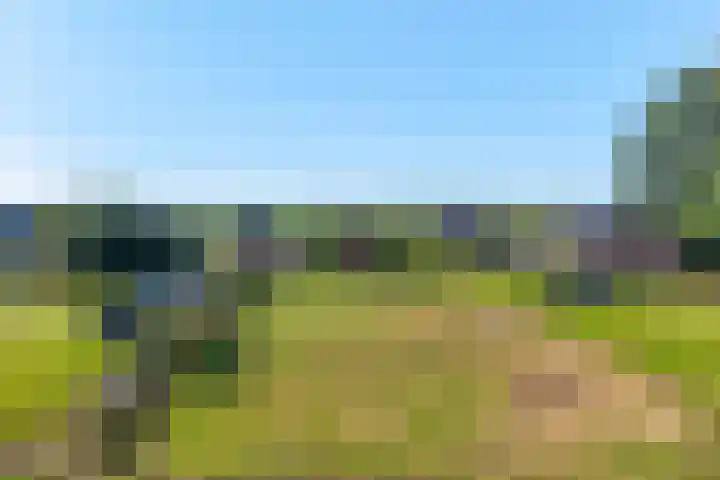 Koppelwijk OZ 18 Emmer-Compascuum thumbnail 47