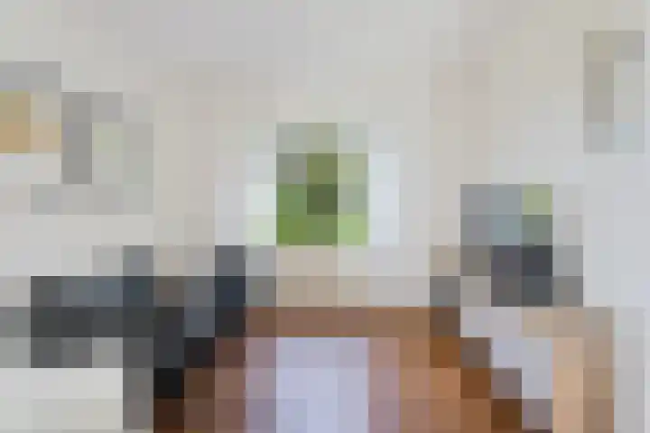 Koppelwijk OZ 18 Emmer-Compascuum thumbnail 8