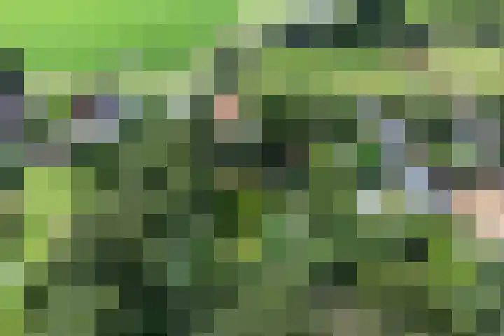 Koppelwijk OZ 25 Emmer-Compascuum thumbnail 10