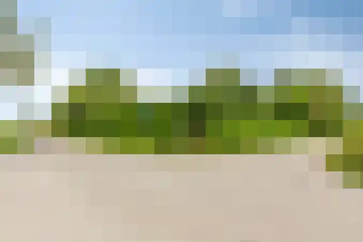 Koppelwijk OZ 25 Emmer-Compascuum thumbnail 11