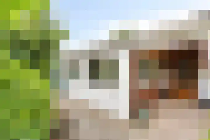 Koppelwijk OZ 25 Emmer-Compascuum thumbnail 13