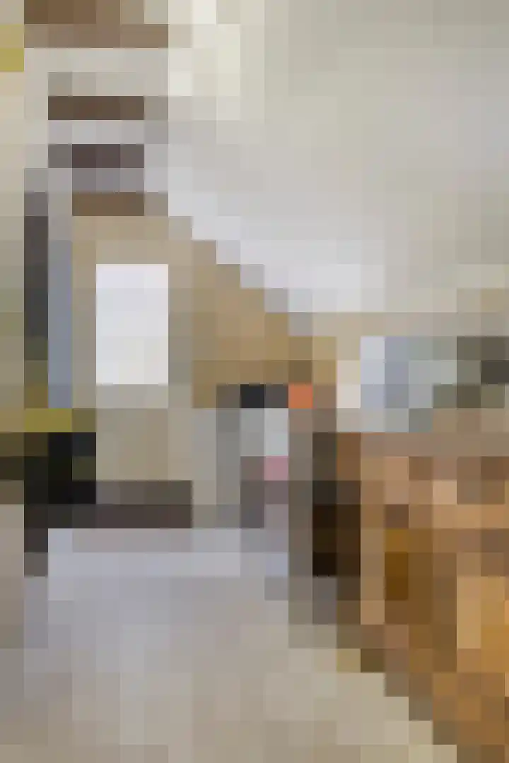 Koppelwijk OZ 25 Emmer-Compascuum thumbnail 15