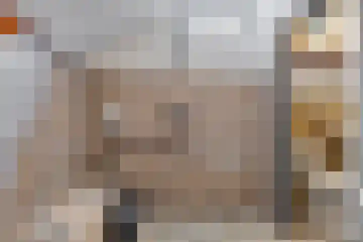 Koppelwijk OZ 25 Emmer-Compascuum thumbnail 27