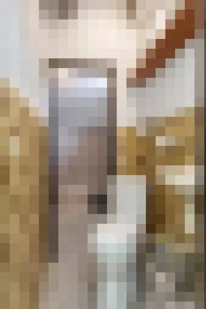 Koppelwijk OZ 25 Emmer-Compascuum thumbnail 30