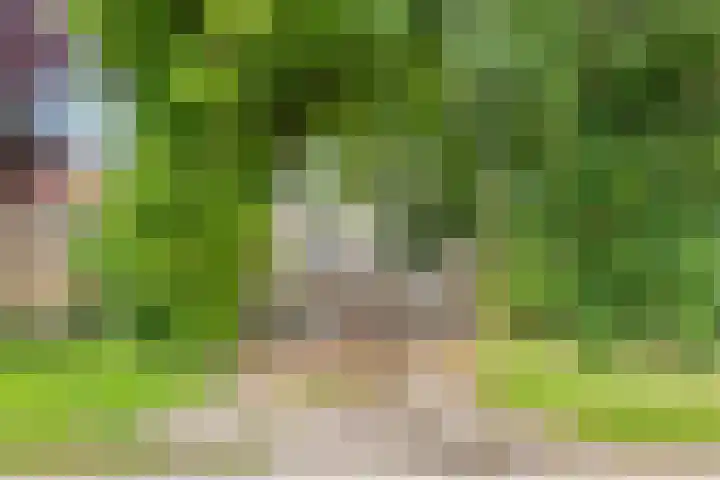 Koppelwijk OZ 25 Emmer-Compascuum thumbnail 35