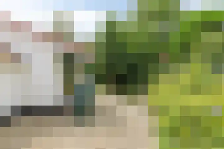 Koppelwijk OZ 25 Emmer-Compascuum thumbnail 36