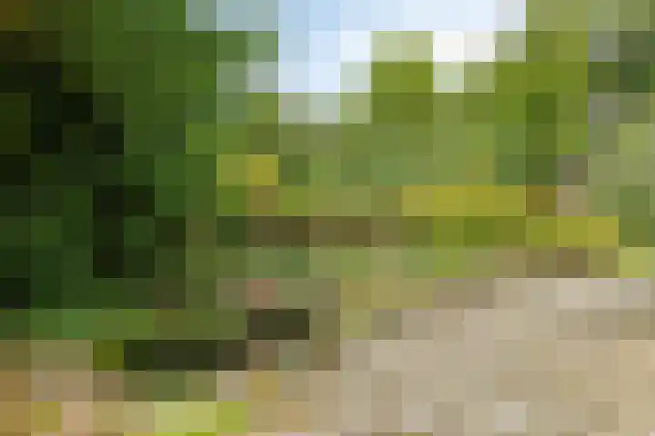 Koppelwijk OZ 25 Emmer-Compascuum thumbnail 37