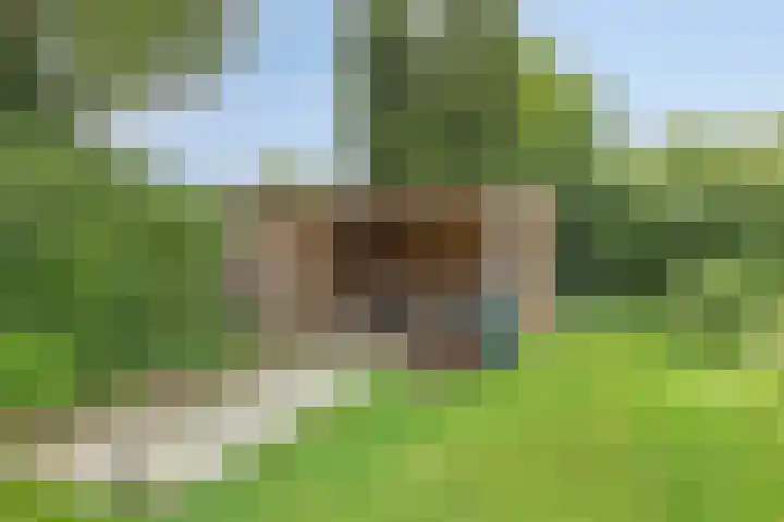 Koppelwijk OZ 25 Emmer-Compascuum thumbnail 40
