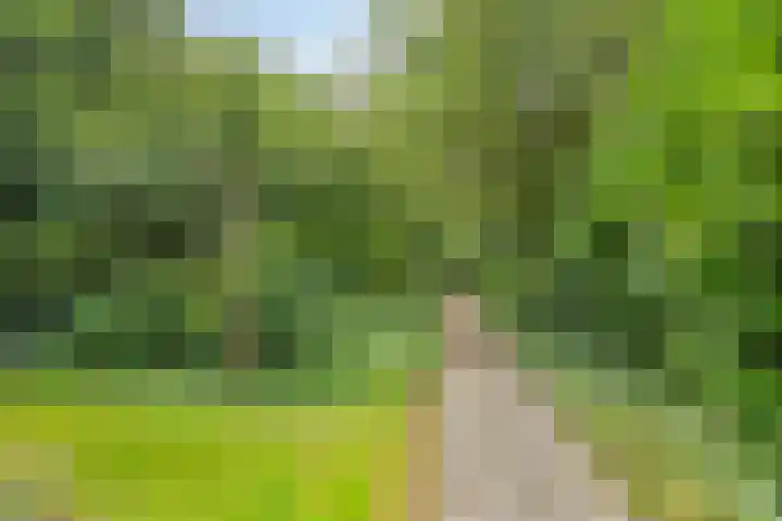 Koppelwijk OZ 25 Emmer-Compascuum thumbnail 41