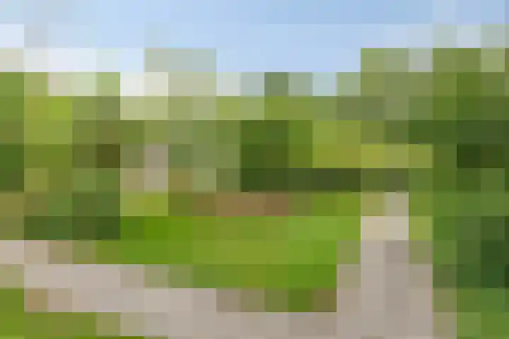 Koppelwijk OZ 25 Emmer-Compascuum thumbnail 42