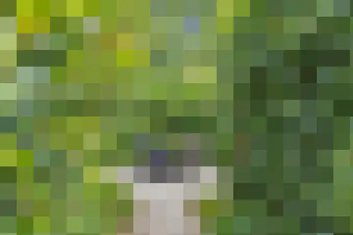 Koppelwijk OZ 25 Emmer-Compascuum thumbnail 44
