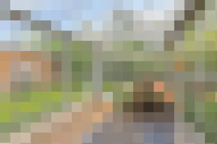 Koppelwijk OZ 25 Emmer-Compascuum thumbnail 47
