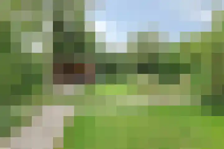 Koppelwijk OZ 25 Emmer-Compascuum thumbnail 48