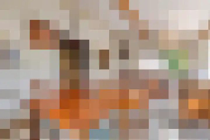 Koppelwijk OZ 25 Emmer-Compascuum thumbnail 5
