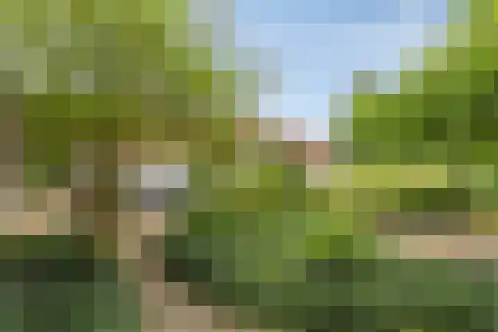 Koppelwijk OZ 25 Emmer-Compascuum thumbnail 50