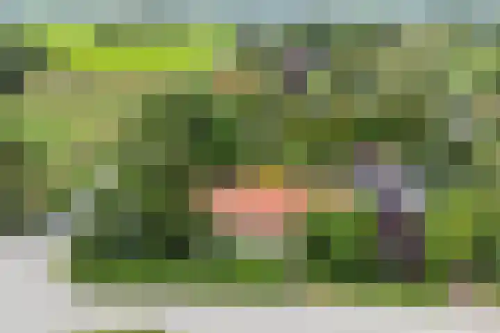 Koppelwijk OZ 25 Emmer-Compascuum thumbnail 8