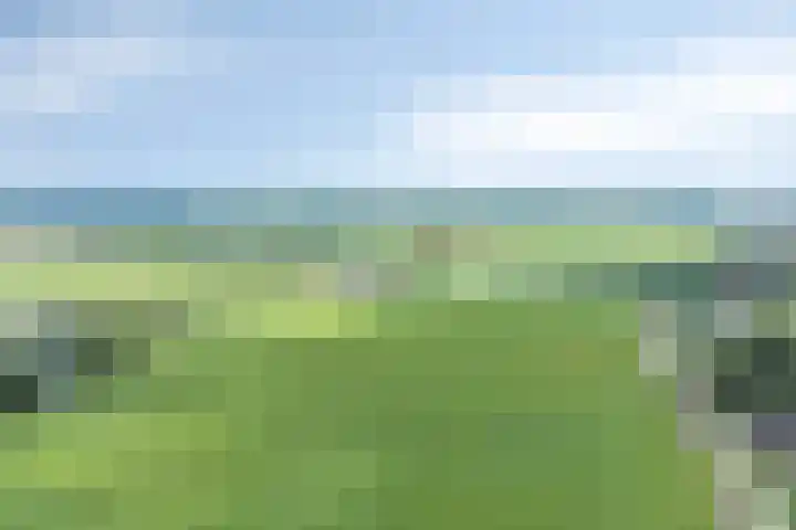 Koppelwijk OZ 25 Emmer-Compascuum thumbnail 9