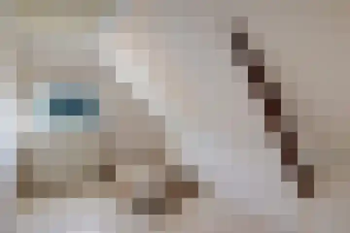Koppelwijk OZ 3 Emmer-Compascuum thumbnail 13