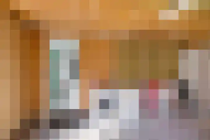 Koppelwijk OZ 3 Emmer-Compascuum thumbnail 22