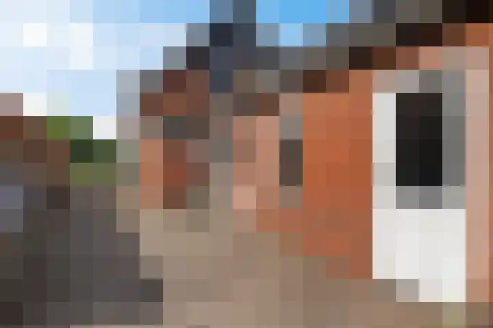Koppelwijk OZ 3 Emmer-Compascuum thumbnail 24