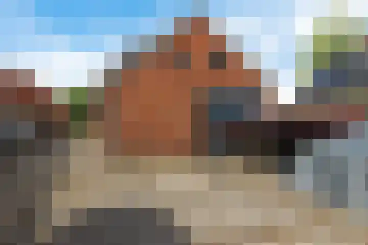 Koppelwijk OZ 3 Emmer-Compascuum thumbnail 25