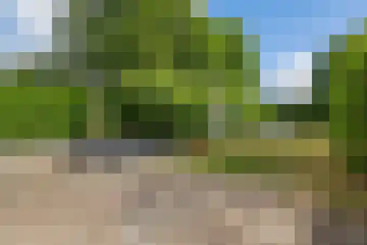 Koppelwijk OZ 3 Emmer-Compascuum thumbnail 27