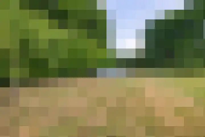 Koppelwijk OZ 3 Emmer-Compascuum thumbnail 28