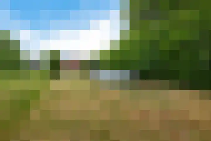 Koppelwijk OZ 3 Emmer-Compascuum thumbnail 30
