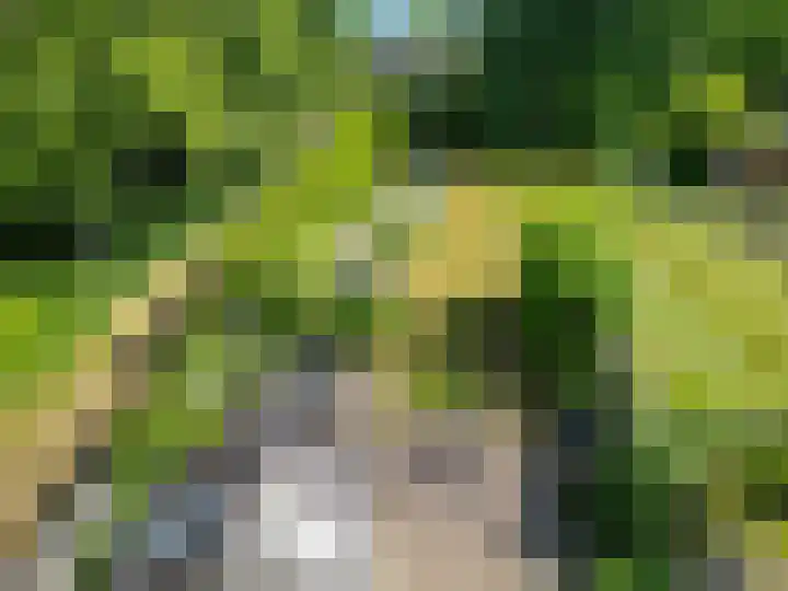 Koppelwijk OZ 3 Emmer-Compascuum thumbnail 31