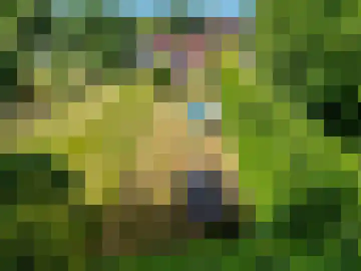 Koppelwijk OZ 3 Emmer-Compascuum thumbnail 32