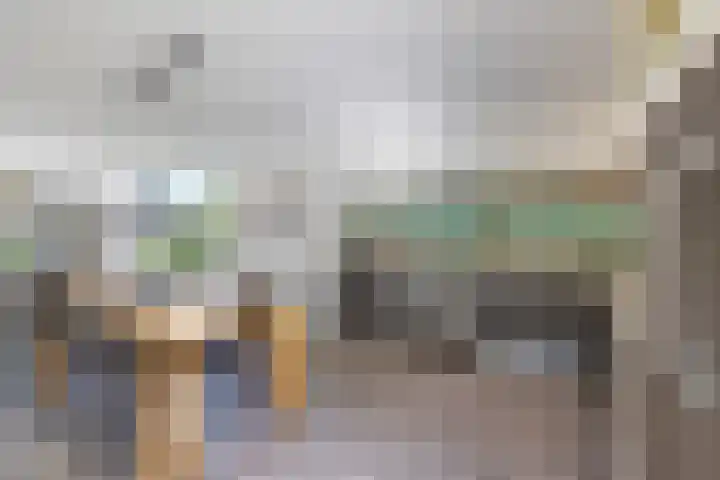 Koppelwijk OZ 3 Emmer-Compascuum thumbnail 6