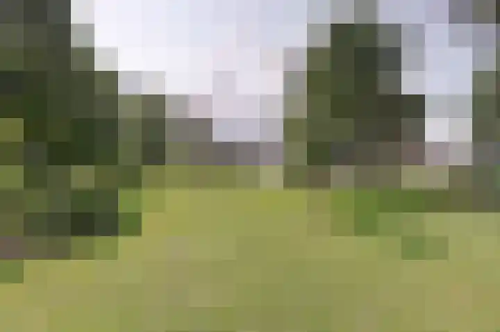 Koppelwijk OZ 38 Emmer-Compascuum thumbnail 27