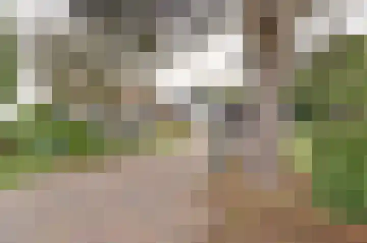 Koppelwijk OZ 38 Emmer-Compascuum thumbnail 31