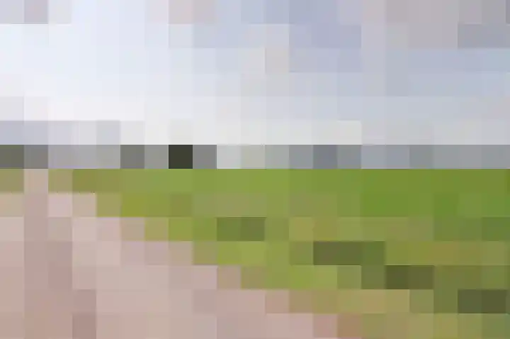 Koppelwijk OZ 38 Emmer-Compascuum thumbnail 34