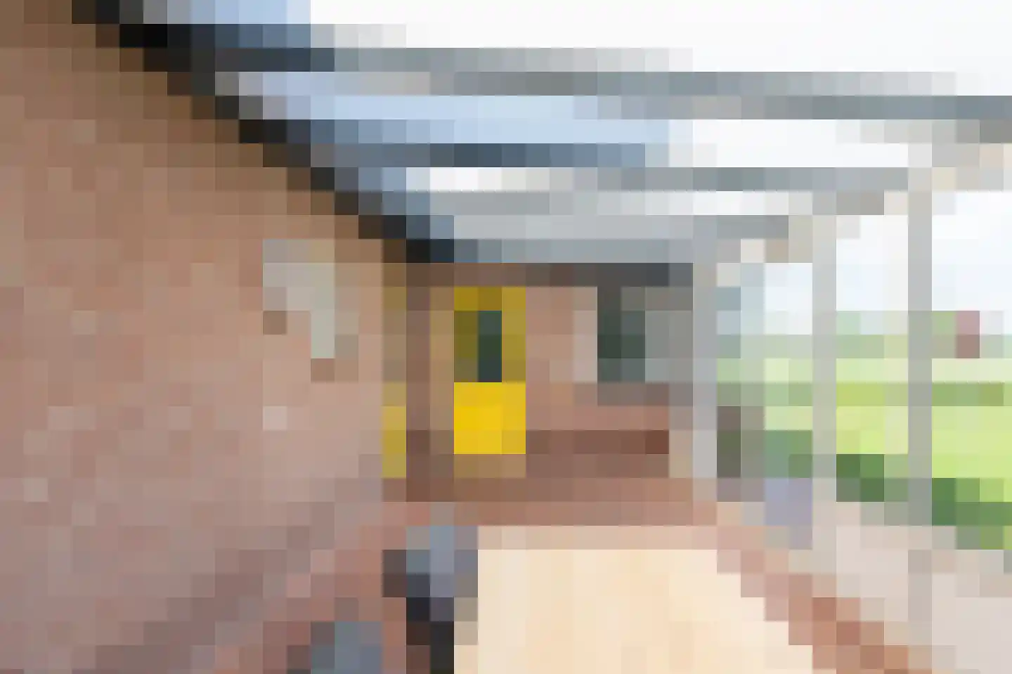 Koppelwijk OZ 4 Emmer-Compascuum thumbnail 28