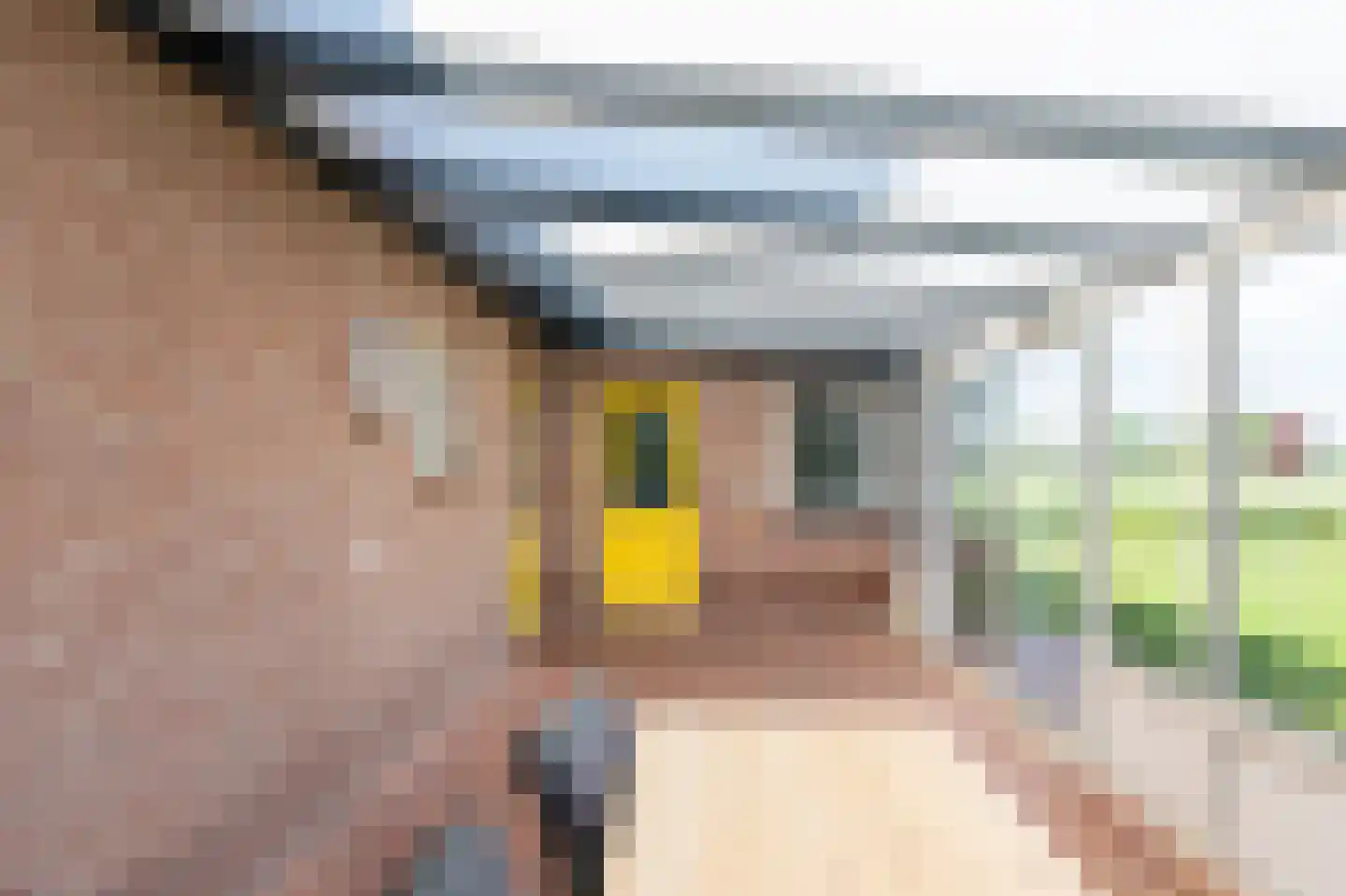 Koppelwijk OZ 4 Emmer-Compascuum thumbnail 28