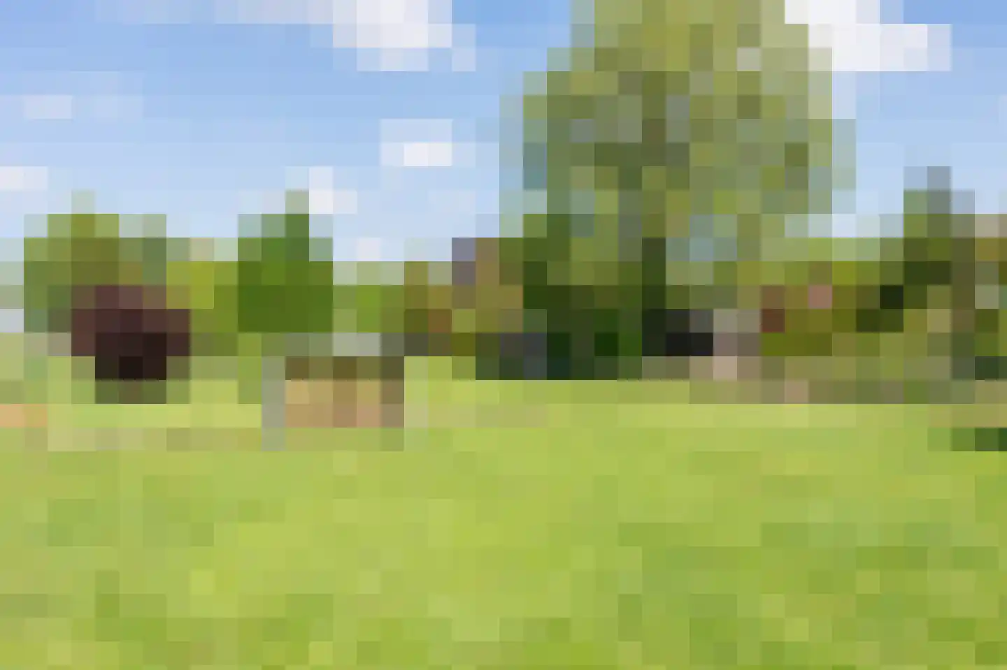 Koppelwijk OZ 4 Emmer-Compascuum thumbnail 34